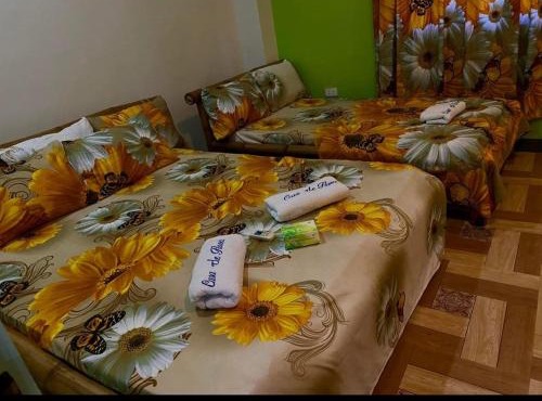 Casa de Flores in Alaminos