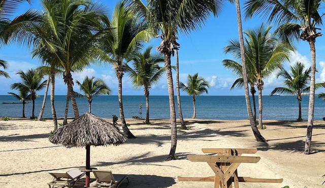 Charming Beach Apartment in Nueva Romana in Ramon Santana