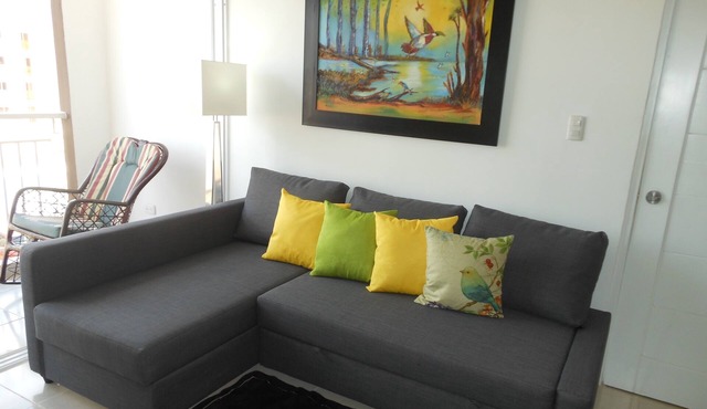 Comfortable 3 bedroom Apartment /parking/wifi in Santo Domingo Este