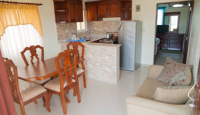 Cozy Apartment Near Airport Wi-fi & Parking in Santo Domingo Este