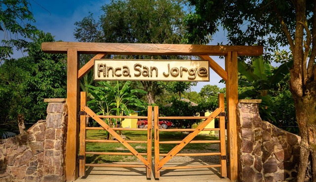 Beautiful Villa in Dominican Republics lush green tropical Carribbean in Guananico Municipio de Imbert