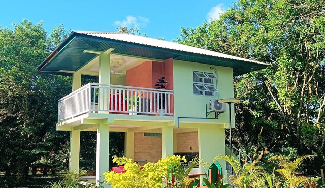 Fully furnished house, a café & pool in a forest! in Naujan