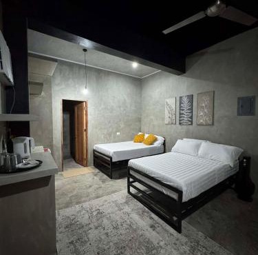 greyhouse moalboal
