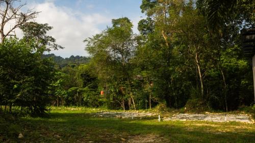 Hilir Hening Glamping