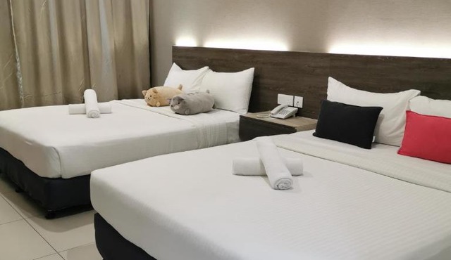 Hotel Alpha