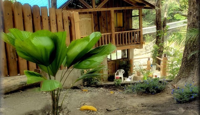 Laid Back Cabin overlooking the river in Jarabacoa