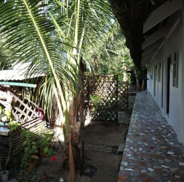 Linden Apartment