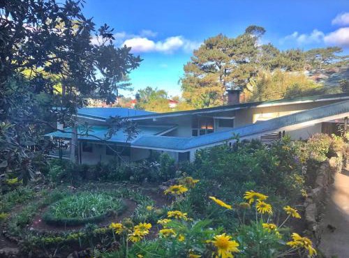 Mid-Century Modern Centrally Located Garden Oasis