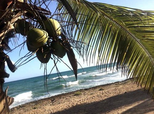 Modern, Welcoming Studio, Ocean View in Juan Dolio in Juan Dolio