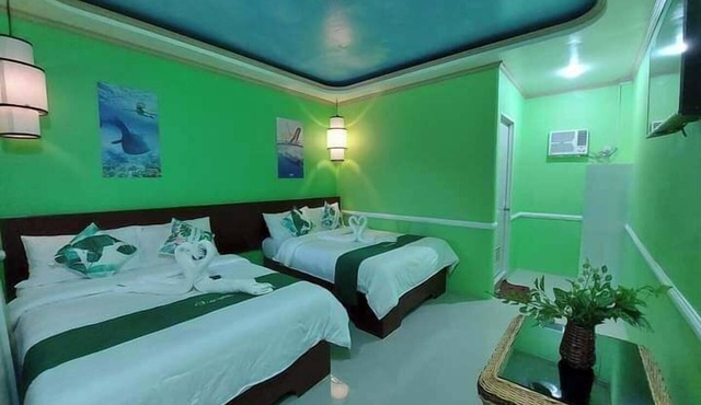 New Village Lodge in Oslob