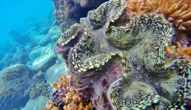 Perhentian Island Resort