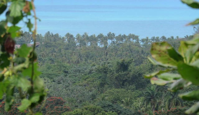 Priva House with Exceptional Sea View Villa / 5MN Beaches and Center / Pool in Las Terrenas