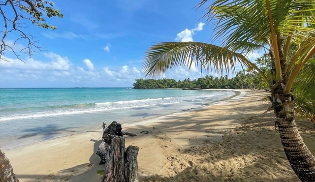 ®{The~Beach~Place} @PlayaBonita +WalktoBeach+Pool in Las Terrenas