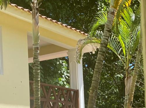 Riomar primer nivel in Santa Bárbara de Samaná