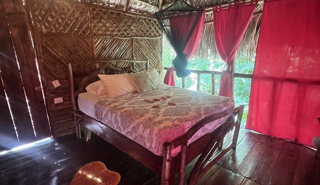 Sámana tropical in Samaná