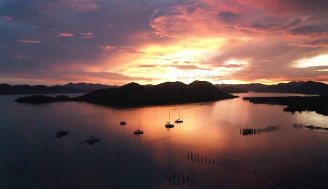 The Funny Lion in Coron