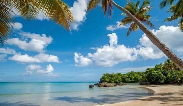 {The~Palms~View} @PlayaBonita +Beachfront+Pool+BBQ in Las Terrenas