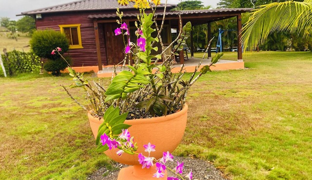 Villa Idalis | Cozy country villa with a private pool near the river in Higüey
