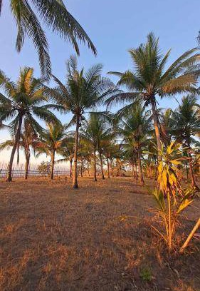 Sablayan Resort | 100 m² Resort ∙ 3 bedrooms ∙ 7 guests