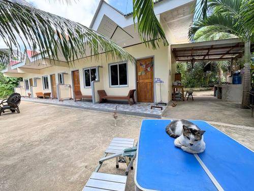 San Juan Bed & Breakfast | 196 m² Bed and breakfast ∙ 6 guests