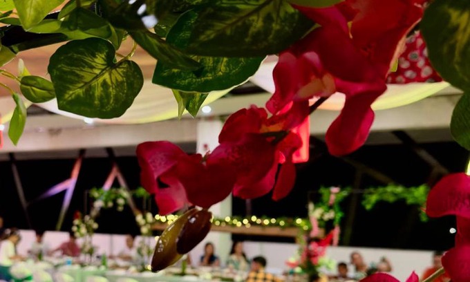 Talibon Hotel | 36 m² Hotel ∙ 5 guests