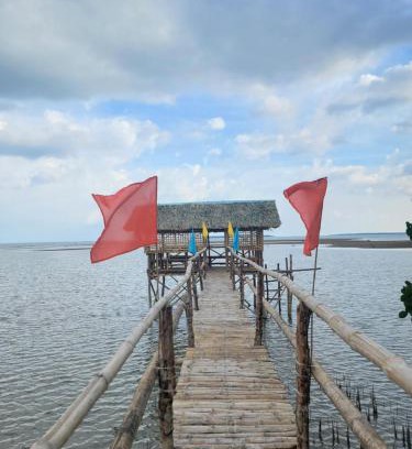 Roxas House | Bamboo House