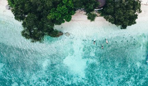 Basdiot Resort | Pescador View - Beachfront & nearby the Ocean Hostels & Restaurant Moalboal