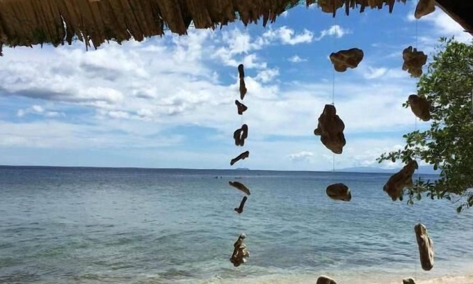 San Juan Hostel | Toris Backpackers Paradise