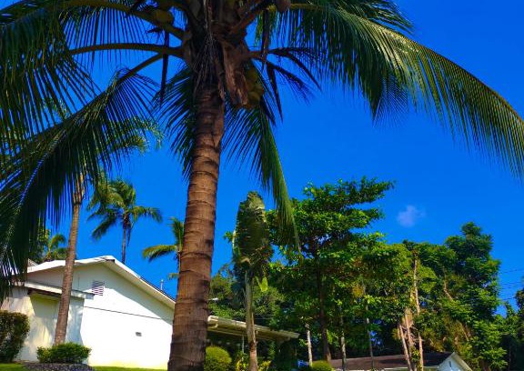 Samahan Heights Villa | Tropical Paradise Retirement Village Inc