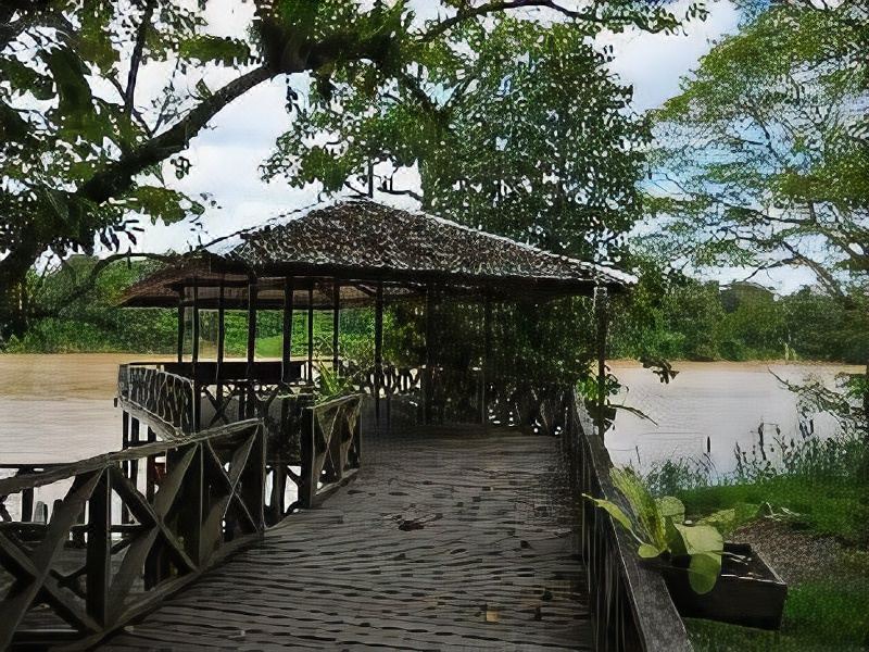 Photo of Others in Kota Kinabatangan