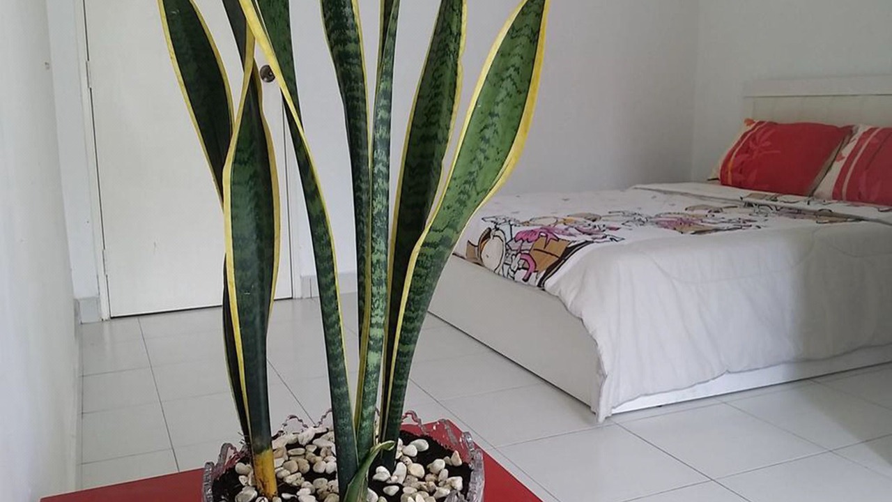Photo of Bedroom in Taman Desa Tebrau