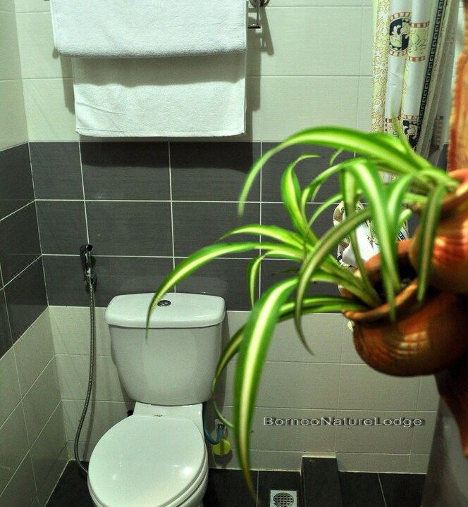 Photo of Bathroom in Kota Kinabatangan