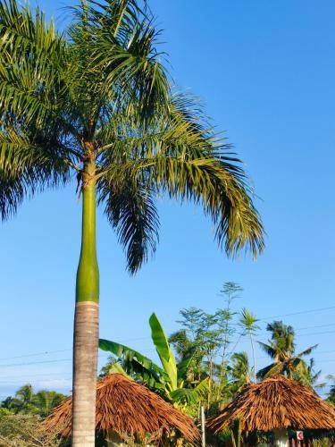 Photo of Outdoor in San Juan