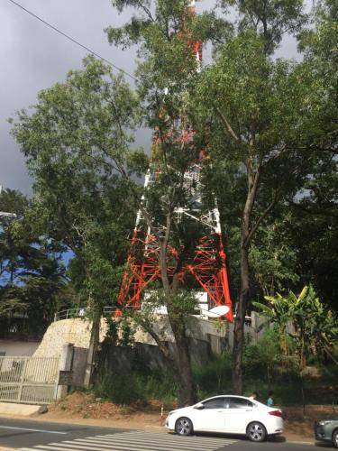 Photo of Others in Antipolo