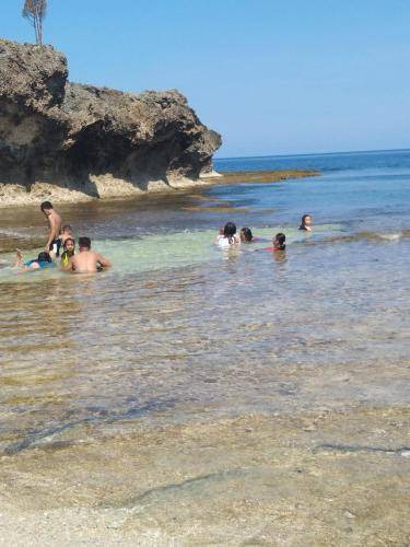 Photo of Others in Patar