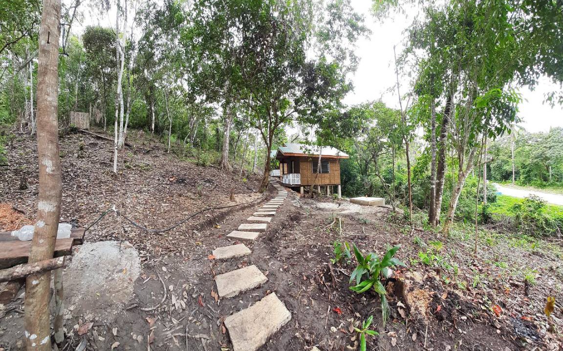 Photo of Others in Batuan