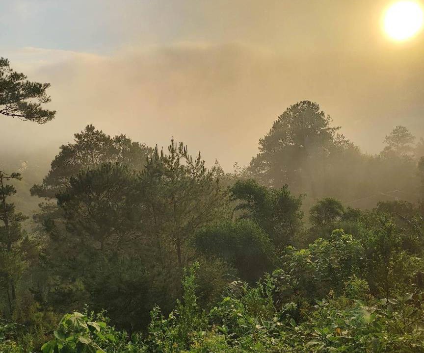 Photo of Others in Sagada