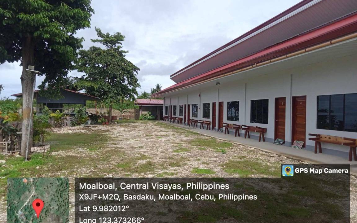Photo of Others in Moalboal
