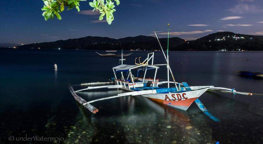 Photo of Others in Anilao