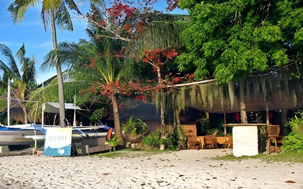 Photo of Others in Moalboal