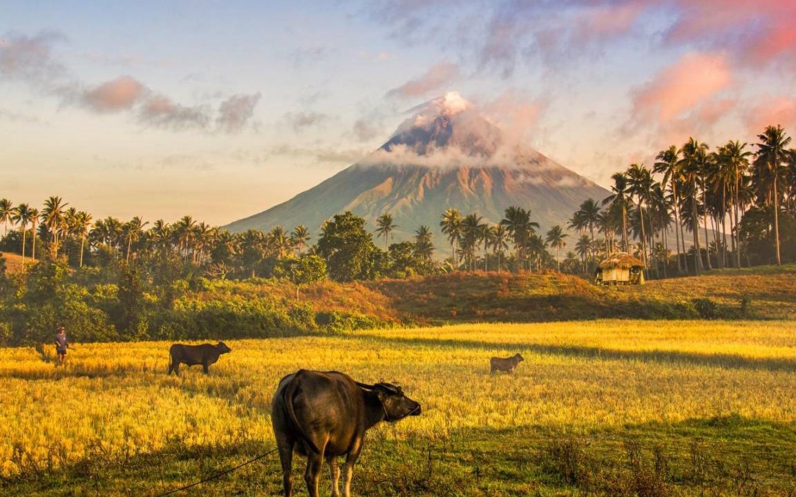 Photo of Others in Legazpi