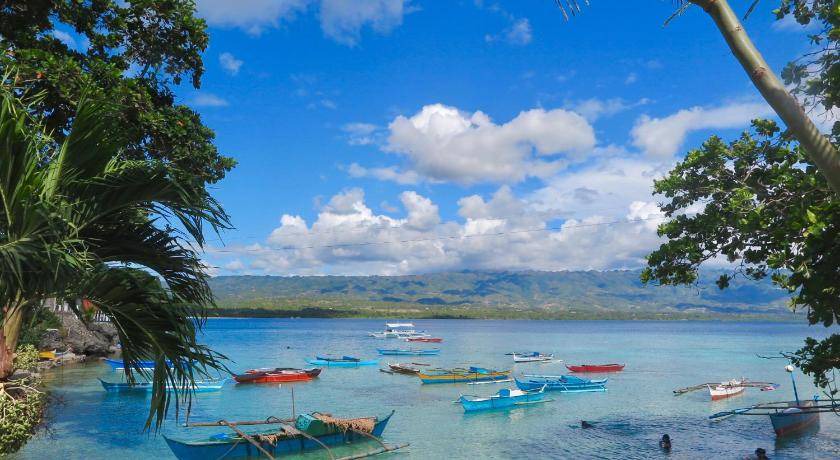 Photo of Others in Moalboal