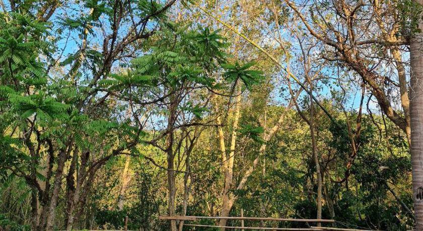 Photo of Outdoor in Mabini