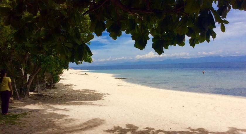 Photo of Others in Moalboal