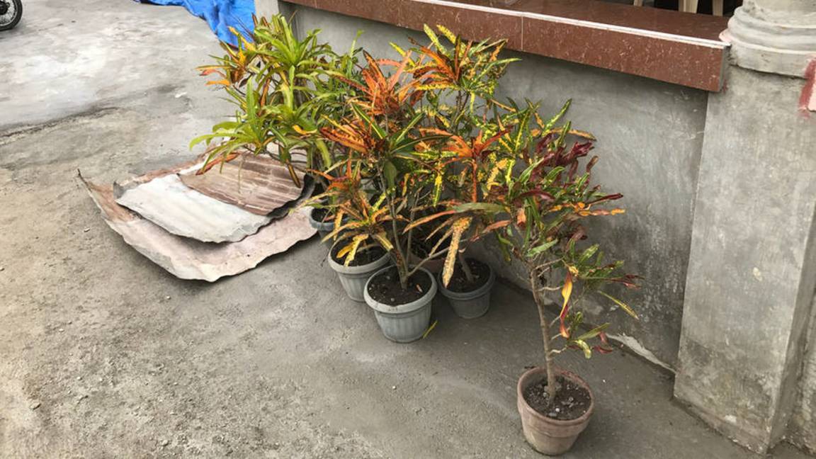 Photo of Outdoor in San Mateo