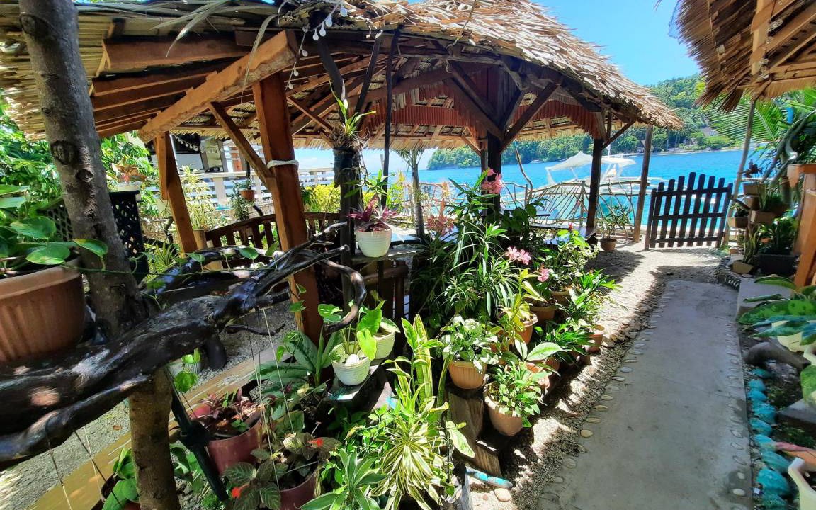 Photo of Others in Puerto Galera