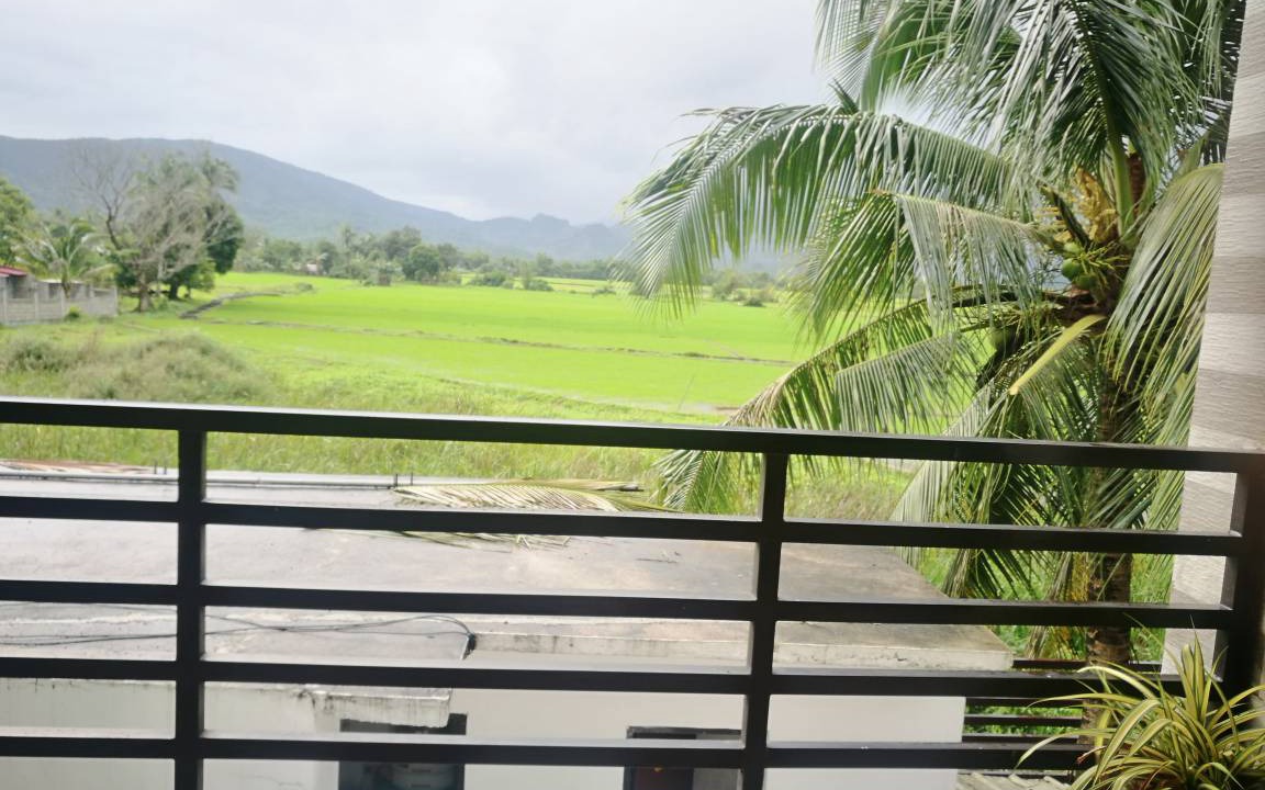 Photo of Others in Baler