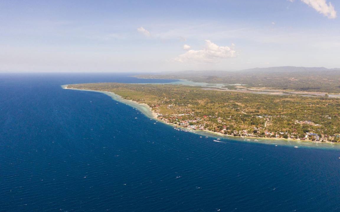 Photo of Others in Moalboal