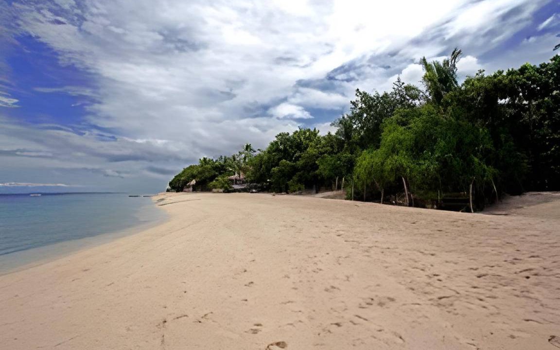 Photo of Others in Moalboal