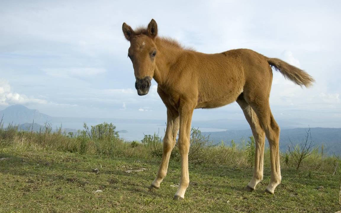 Photo of Others in Tagaytay